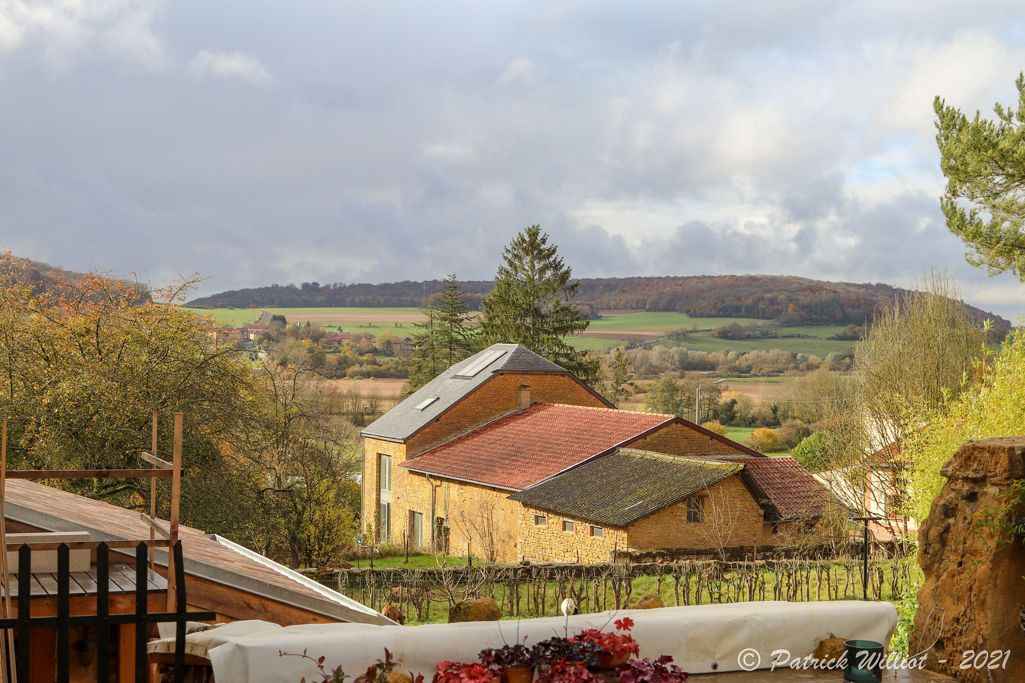 Torgny